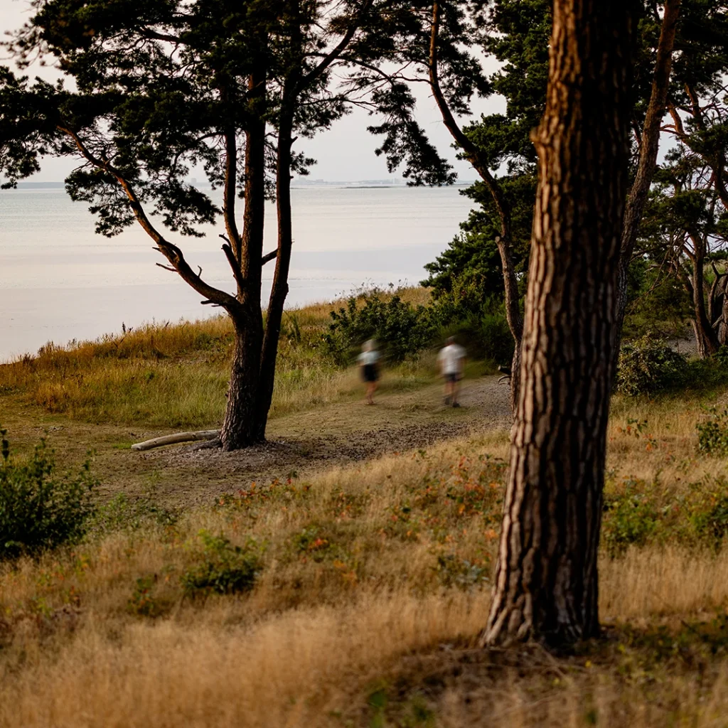 Vandringspaket på Öland